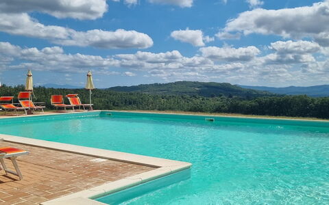 Casa Stella Serena, Podere le Scopaie, Pool: Svømmepøl, Bakke, Udvej, Eco Hotel, Hill Station, Udendørs Møbler, Ferieby, Liggestol, Kam, Hotel