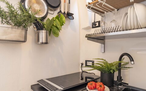 Maison D'Alice: Bordservice, Køkken, Blomsterkrukke, Køkken Apparat, Stueplante, Countertop, Reoler, Husholdningsapparat, Hylde