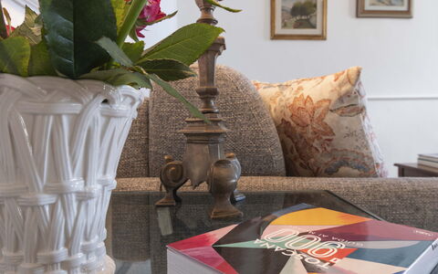 Maison D'Alice: Møbel, Indretning, Belysning, Billedramme, Stue, Pude, Værelse, Vase, Throw Pillow, Pude