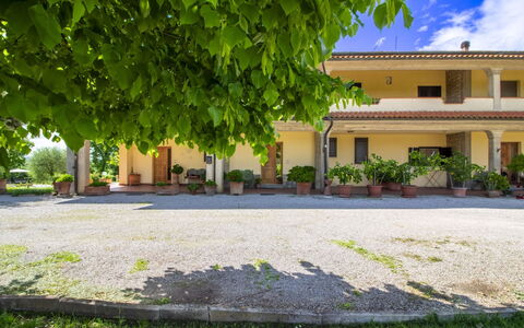 Gli Ulivi