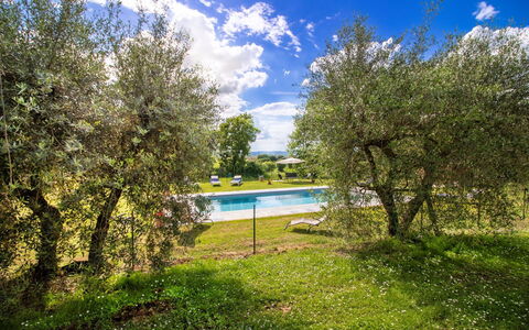 Gli Ulivi: Lawn, Have, Eng, Skygge, Parkere, Landscaping