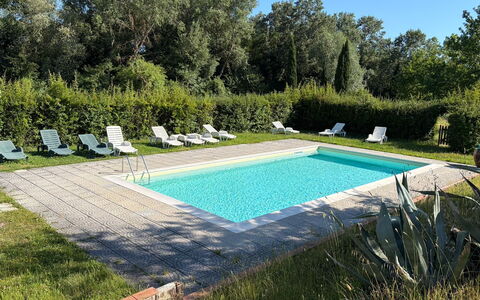 Civico108 Vacation Home, Pool, Castellina in Chian: Svømmepøl, Udendørs Møbler, Have, Udvej, Backyard, Lawn, Estate, Skygge, Landscaping, Gård
