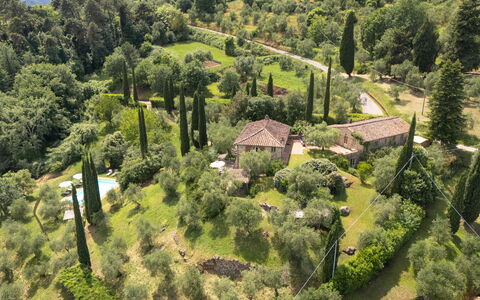 La Sorgente: Naturligt Miljø, Vegetationen, Busk, Landskab, Plantesamfund, Land Lot, Landdistrikt, Bunddække, Skov, Hill Station