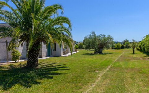 La Sorgente: Busk, Have, Vedplante, Lawn, Landscaping, Estate, Indkørsel, Hacienda, Skygge