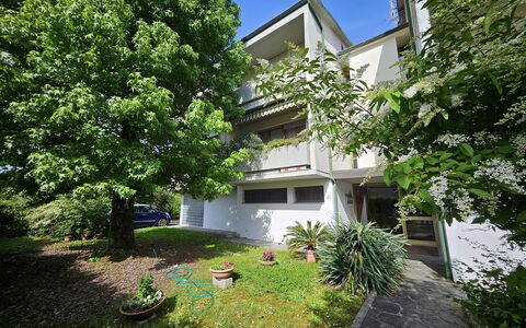 Alle Gardenie: Busk, Boligområde, Hjem, Have, Estate, Gård, Skygge, Landscaping, Indkørsel, Backyard