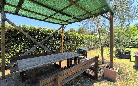 Scarlino 35: Træ, Skygge, Udendørs Struktur, Udendørs Bord, Udendørs Bench, Baldakin, Have, Udendørs Møbler, Bejdse, Gazebo