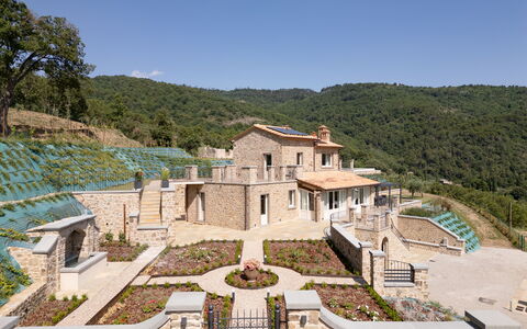Villa Maddalena alla Guglielmesca: Landdistrikt, Estate, Sommerhus, Have, Landscaping, Landsby, Villa, Stuehus, Hacienda, Mansion