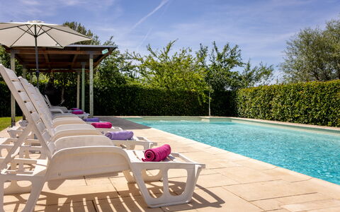 Il Cipresso, Casa Lucia, Cortona: Svømmepøl, Udendørs Møbler, Møbel, Kompositmateriale, Have, Skygge, Udvej, Paraply, Landscaping, Stol