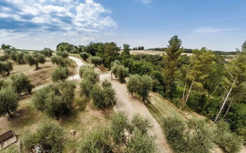 Villa Larino: Træ, Vegetationen, Naturlige Landskab, Plantesamfund, Land Lot, Almindeligt, Sti, Mark, Jord