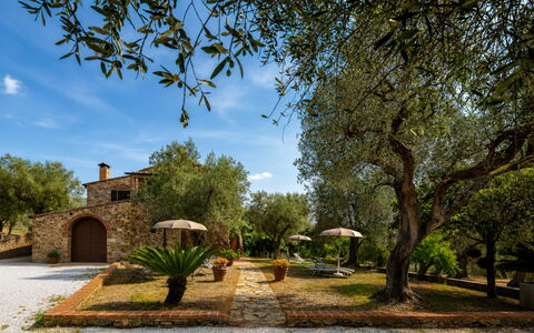 Casale delle Lupe, Campiglia Marittima: Have, Estate, Hacienda, Landscaping, Stuehus, Gård, Villa, Skygge, Backyard, Indkørsel