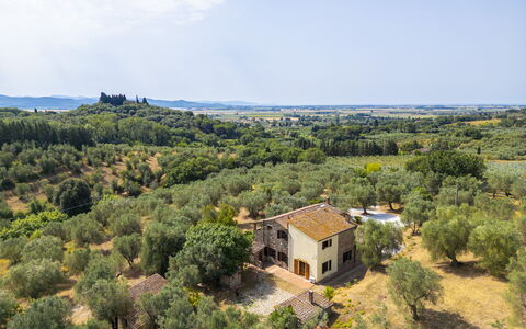 Casale delle Lupe, Campiglia Marittima: Træ, Græs, Naturlige Landskab, Landskab, Landdistrikt, Græs-, Land Lot, Almindeligt, Plantesamfund