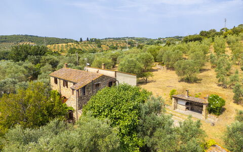 Casale delle Lupe, Campiglia Marittima: Græs, Træ, Busk, Landdistrikt, Plantesamfund, Land Lot, Estate, Sommerhus, Landsby
