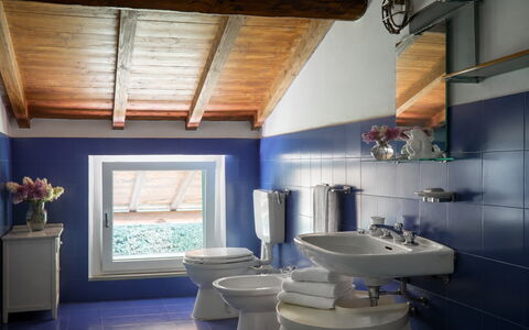 Casa Mancini, Holiday Villa, San Galgano: Sanitærarmatur, Badeværelse, Håndvask, Badeværelsesvask, Indretning, Gulvbelægning, Tap, Vvs, Toiletbræt, Toilet