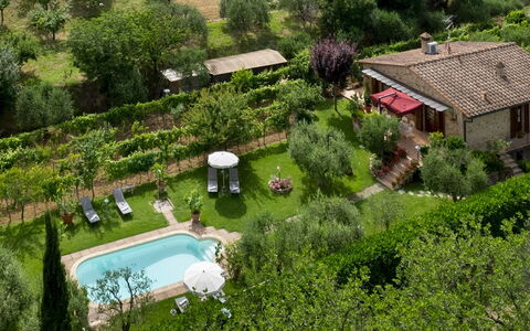 Villa Sorripa 6: Busk, Have, Sommerhus, Backyard, Estate, Landscaping, Stuehus, Plantation, Gård, Lawn