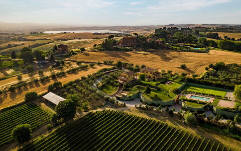 Poderina dei Poggi 12: Landskab, Land Lot, Almindeligt, Plantation, Landdistrikt, Mark, Have, Landbrug, Fugleperspektiv, Estate