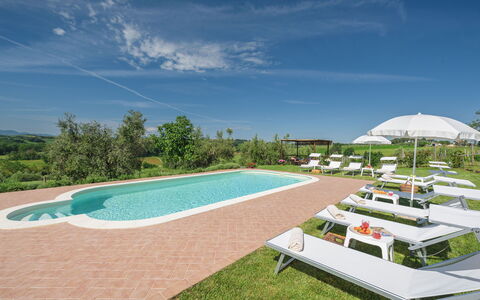 Poggio Vistabella 10: Svømmepøl, Have, Lawn, Udendørs Møbler, Stuehus, Estate, Gård, Landscaping, Hacienda, Udvej