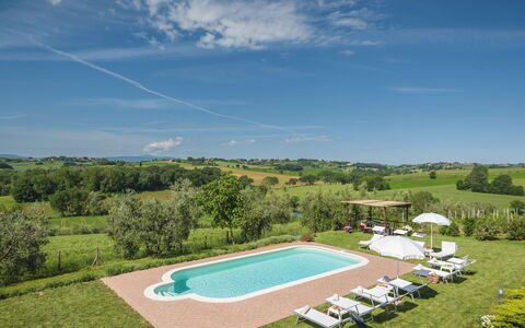 Poggio Vistabella 10: Svømmepøl, Eng, Estate, Lawn, Plantation, Stuehus, Farm, Landbrug, Villa, Hacienda