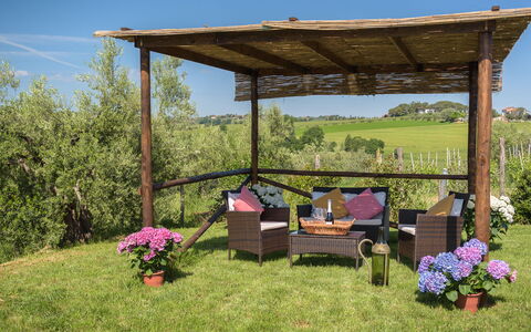 Poggio Vistabella 10: Have, Møbel, Gazebo, Pavilion, Udendørs Møbler, Udendørs Struktur, Skygge, Pergola, Backyard