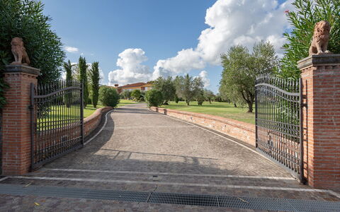 Villa Gabri 8: Mursten, Murværk, Indkørsel, Have, Estate, Port, Landscaping, Walkway, Hegn, Sti