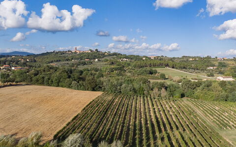 Villa Gabri 8: Landdistrikt, Landskab, Mark, Landbrug, Land Lot, Almindeligt, Plantation, Hill Station, Eng, Farm