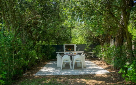 Villa Giomoa 8: Blad, Natur, Vegetationen, Afdeling, Busk, Have, Plantesamfund, Skygge, Forår, Sollys