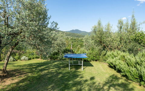 Buca delle Fate 8: Træ, Hill Station, Eng, Pasture, Evergreen, Kam, Plantation, Pine Family