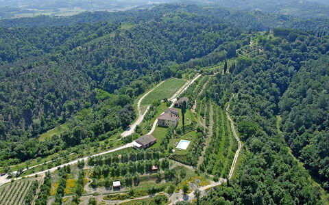 Germagnana 12+2: Naturligt Miljø, Landskab, Fugleperspektiv, Highland, Hill Station, Plantation, Landdistrikt, Skov, Luftfotografering, Mark