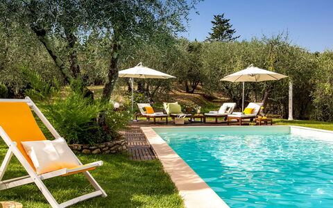Villa Il Colle di Moriano 8: Møbel, Udendørs Møbler, Svømmepøl, Udvej, Liggestol, Stol, Eco Hotel, Skygge, Have, Backyard