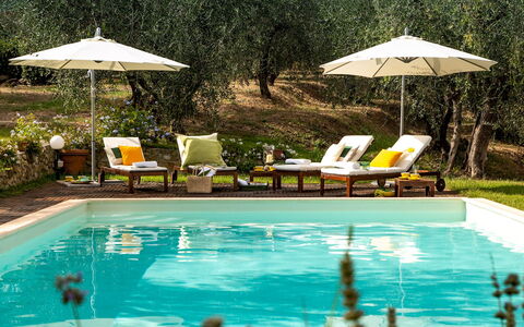 Villa Il Colle di Moriano 8: Svømmepøl, Udendørs Møbler, Udvej, Liggestol, Møbel, Paraply, Eco Hotel, Have, Stol, Skygge