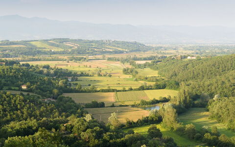 Villa Vittoria D'Anghiari 7+3: Grøn, Naturligt Miljø, Naturlige Landskab, Landskab, Økoregion, Græs-, Almindeligt, Highland, Mark, Land Lot
