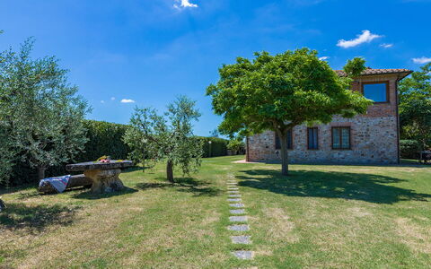 Poggio Medei 10: Himmel, Blå, Græs, Græs-, Almindeligt, Land Lot, Lawn, Have, Eng, Stuehus