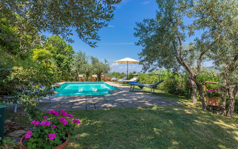 Casa del Sole 4: Blå, Busk, Have, Landscaping, Estate, Gård, Backyard, Eco Hotel, Lawn