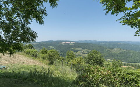 Casale al Doglio 6+1: Naturligt Miljø, Natur, Bjergrige Landskabsformer, Vegetationen, Bakke, Naturlige Landskab, Græs-, Busk, Landskab, Highland