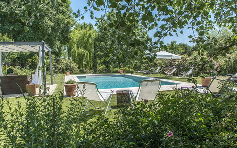 Albachiara 8: Busk, Udendørs Møbler, Svømmepøl, Have, Skygge, Landscaping, Backyard, Fritid, Stol, Udvej