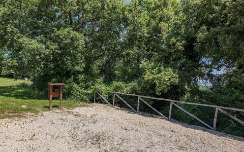 Il Colle di Donna Ilaria 12: Træ, Blad, Afdeling, Vedplante, Sti, Woodland, Jord, Parkere, Hegn, Sti