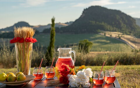 Il Poggiarellone 14: Bordservice, Mad, Drinkware, Serveware, Ingrediens, Barware, Glasservice