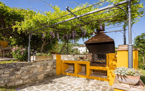 Le Querce dei Medici 12+2: Have, Skygge, Blomsterkrukke, Hacienda, Backyard, Landscaping, Gård, Udendørs Struktur, Eco Hotel, Stueplante