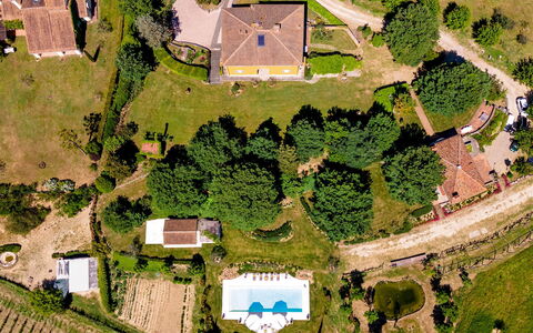Le Querce dei Medici 12+2: Træ, Hus, Boligområde, Landskab, Land Lot, Landdistrikt, Hjem, Almindeligt, Menneskelig Bosættelse, Estate