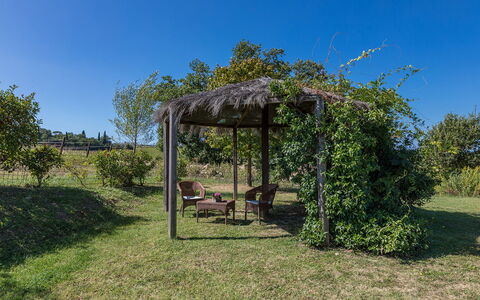 Villa Palazzaccio 26: Busk, Have, Skygge, Udendørs Struktur, Gazebo, Pergola, Landscaping, Pavilion, Plantation