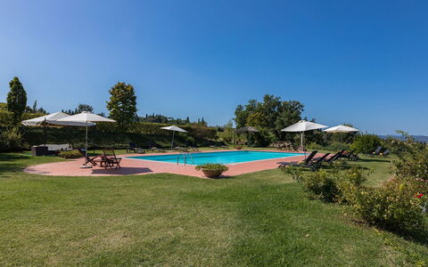 Villa Palazzaccio 26: Udvej, Have, Eco Hotel, Estate, Landscaping, Plantation, Hacienda, Svømmepøl, Villa, Parkere