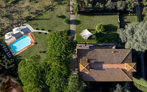 Villa Beltrami 14: Træ, Landskab, Boligområde, Estate, Land Lot, Have, Svømmepøl, Lawn, Landscaping, Hacienda