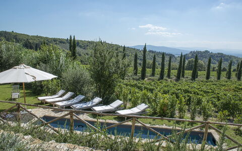 Villa delle Upupe 8: Landskab, Plantation, Hill Station, Landscaping, Landbrug, Evergreen, Chaparral