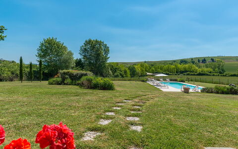 Alborata 10: Busk, Græs-, Almindeligt, Land Lot, Have, Lawn, Eng, Plantation, Landscaping, Pasture