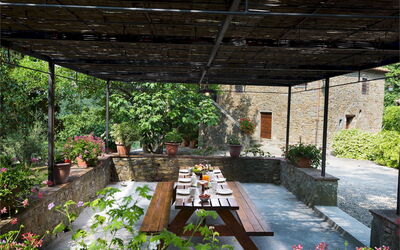Crognole 6