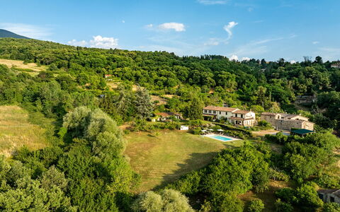 Casale le Conce 6: Træ, Vegetationen, Landdistrikt, Estate, Skov, Hill Station, Eng, Eco Hotel, Pasture, Plantation