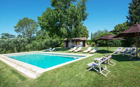 Podere Gragnano 12: Træ, Hus, Hjem, Land Lot, Estate, Stuehus, Sommerhus, Have, Lawn, Svømmepøl