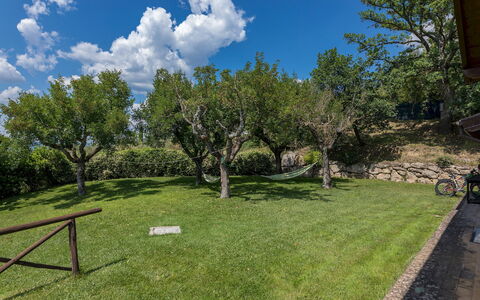 Il Casale del Nonno 8+2: Træ, Landskab, Busk, Land Lot, Almindeligt, Have, Lawn, Eng, Skygge