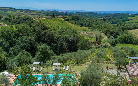 Villa Santa Maria 14: Svømmepøl, Udvej, Eco Hotel, Mad, Udendørs Møbler, Liggestol, Landscaping, Plantation, Ferieby, Hacienda
