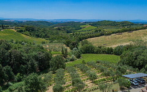 Villa Santa Maria 14: Vegetationen, Naturlige Landskab, Landskab, Landdistrikt, Plantation, Highland, Land Lot, Landbrug, Plantesamfund, Mark
