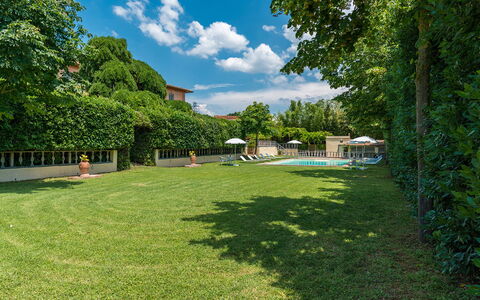 Villa delle Sophore 12: Svømmepøl, Busk, Have, Lawn, Skygge, Estate, Landscaping, Gård, Backyard, Hæk